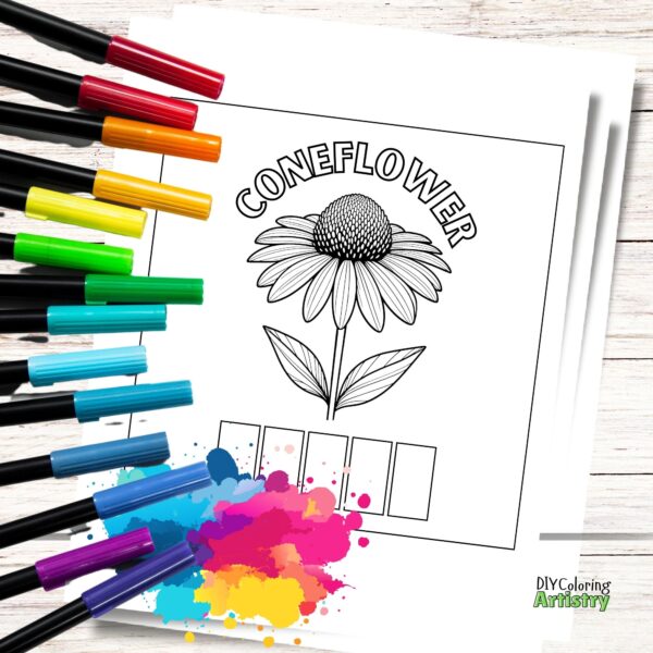 coneflower coloring page