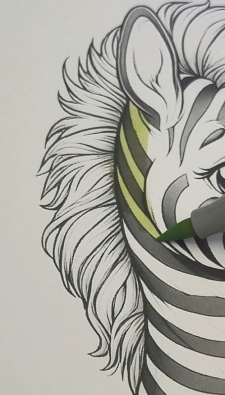 Color the Zebra