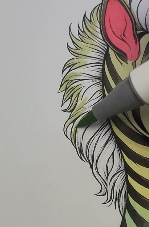 Color the zebra mane