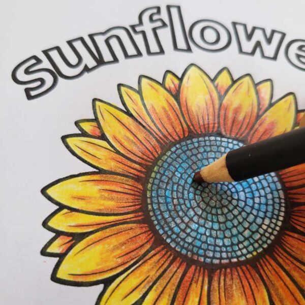Sunflower Color Practice How To Color A Sunflower With Colored Pencils - DIY Coloring Artistry