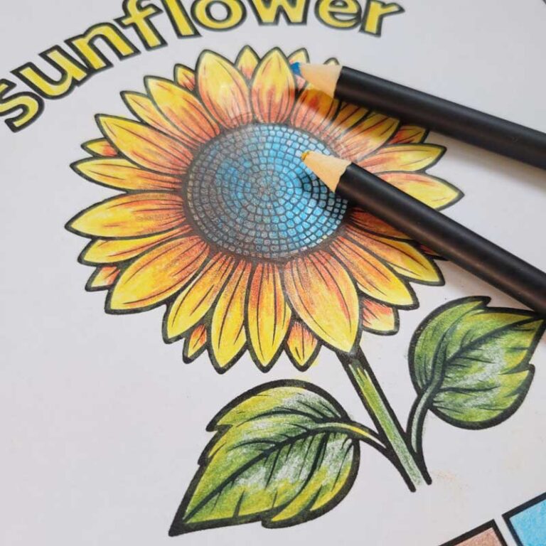 how to color a sunflower