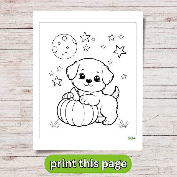Puppy & Pumpkin PDF
