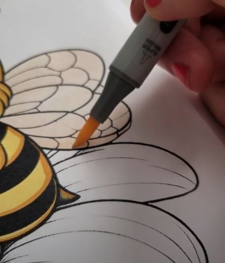 Color the Wings with a Light Shade