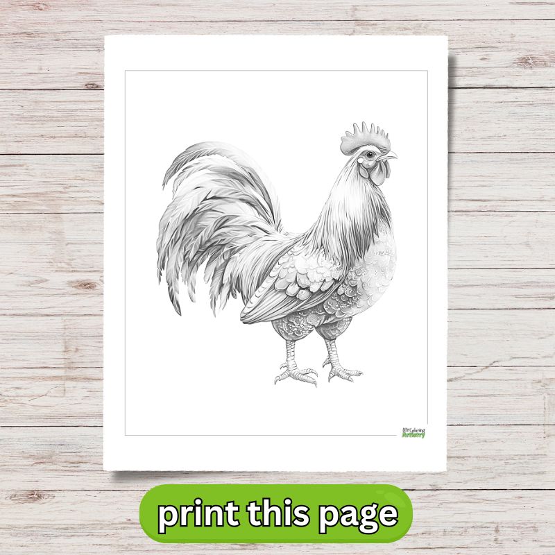 Farm Animals coloring pages rooster