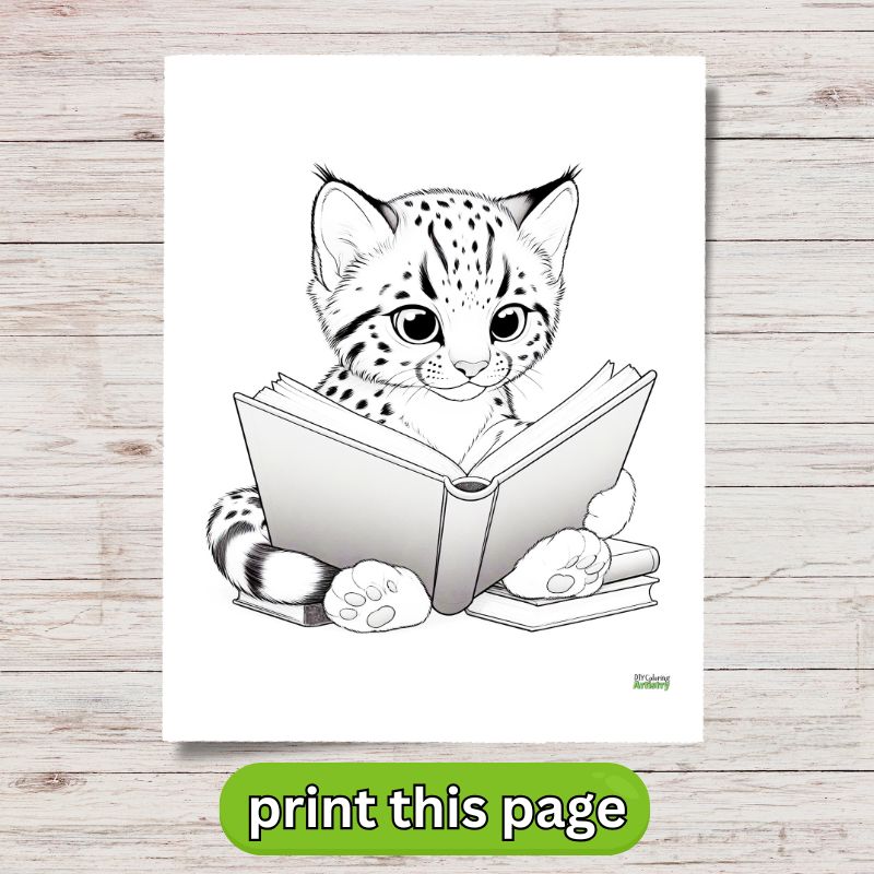 Bobcat Coloring Page