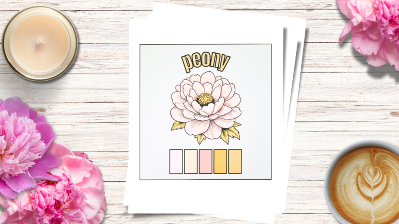 how to color a peony