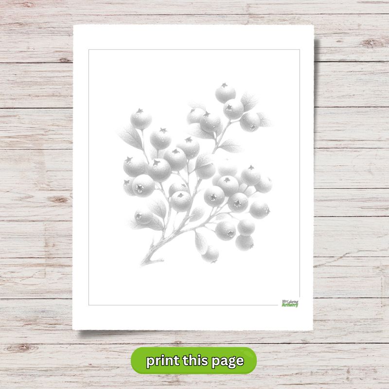 Winter Berries
