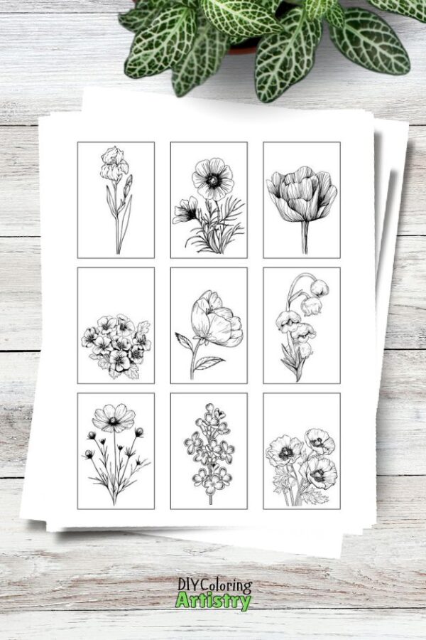 Journal Flowers Coloring Pages - Image 7