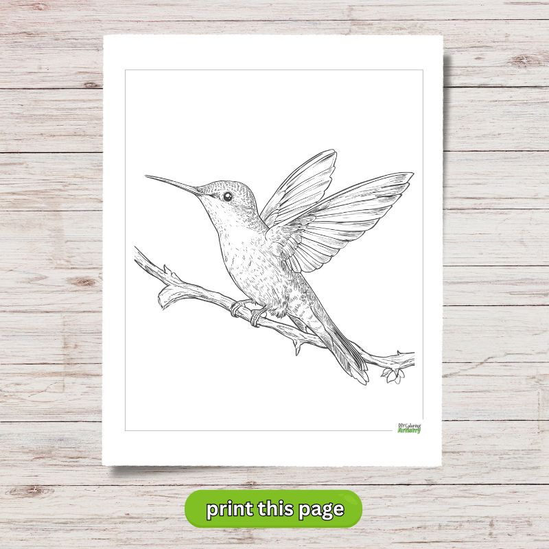 taking flight hummingbird