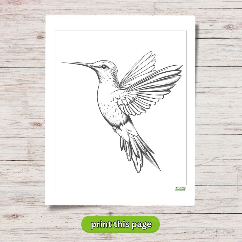 graceful hummingbird printable