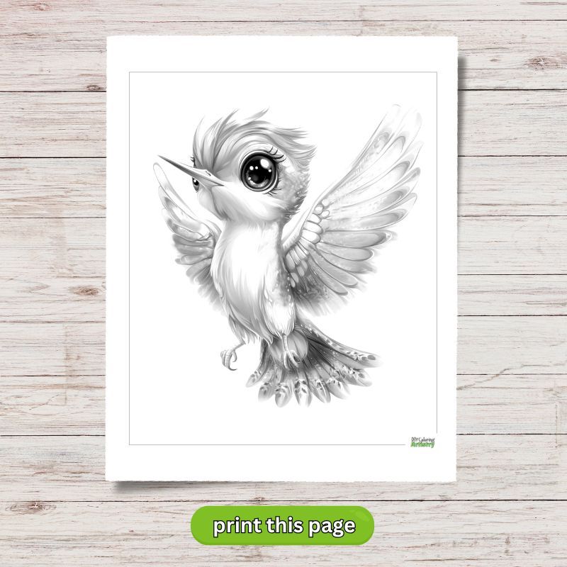 stylized hummingbird coloring page