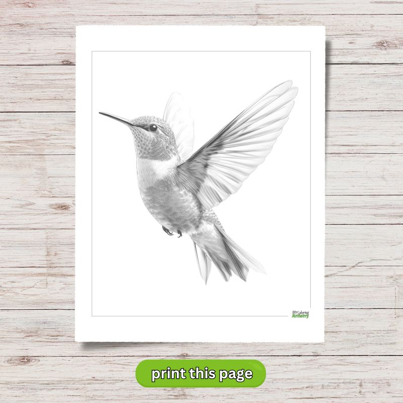 Greyscale hummingbird printable