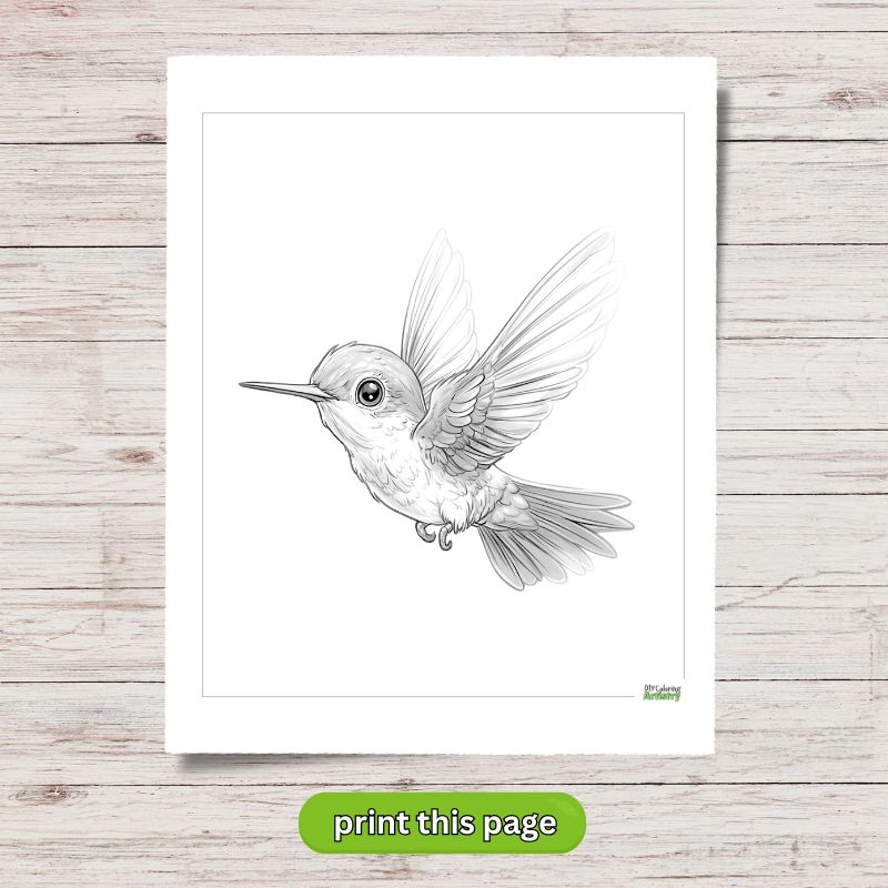 Cute Hummingbird Flying
