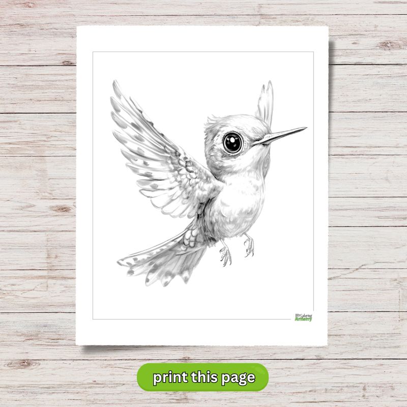 Baby Hummingbird