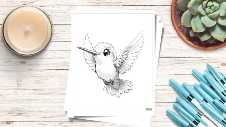 hummingbird coloring pages