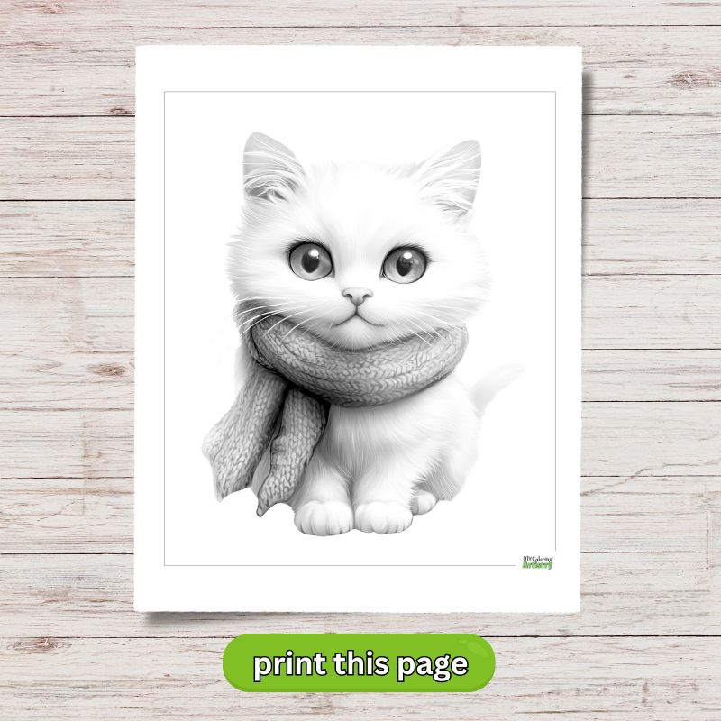 kitten wearing a scarf