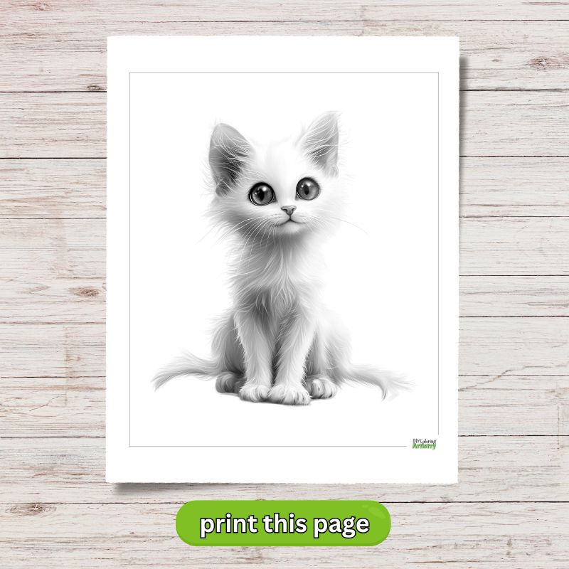 greyscale kitten