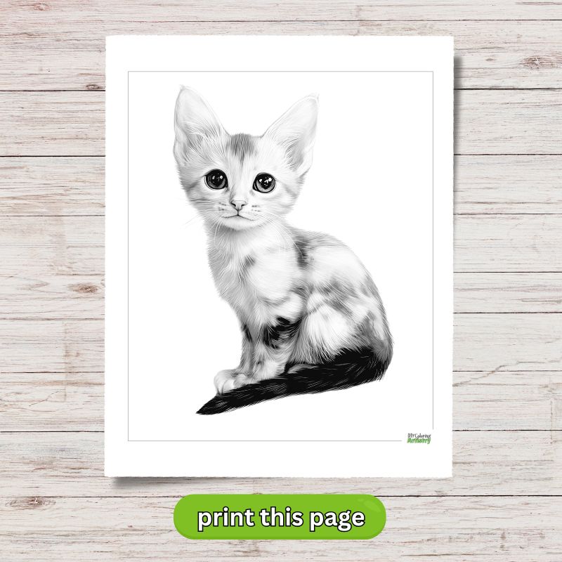realistic kitten coloring page