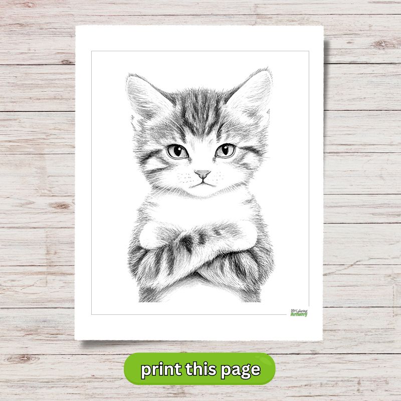 kitten coloring sheet