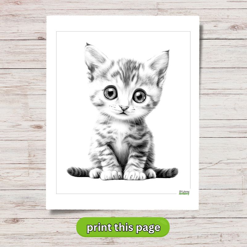 cute kitten