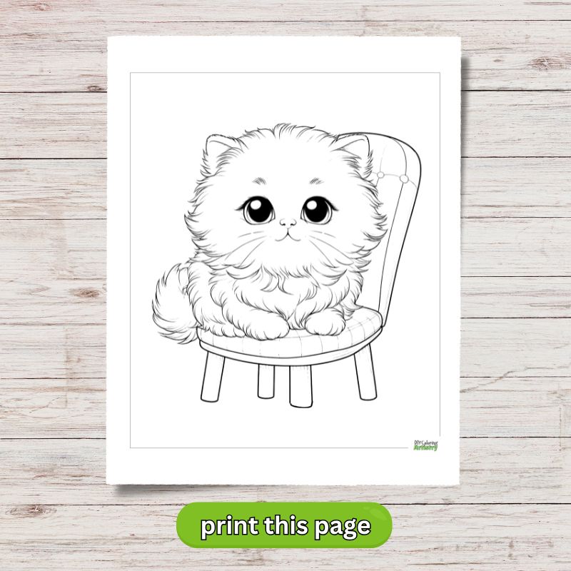 kitten on chair