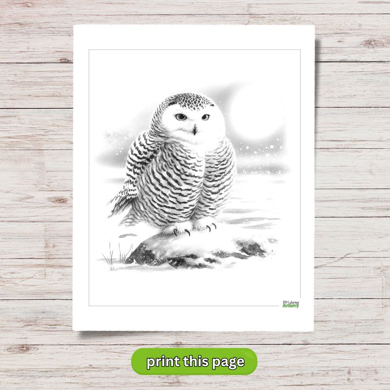 moonlight owl coloring page
