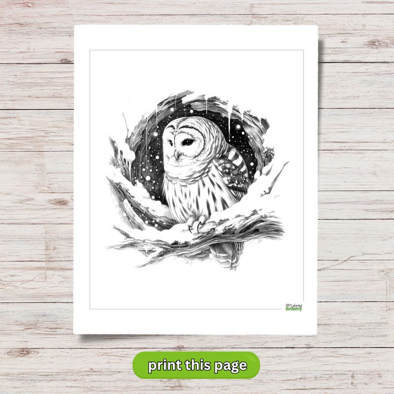 Black And Grey Owl Coloring Printable