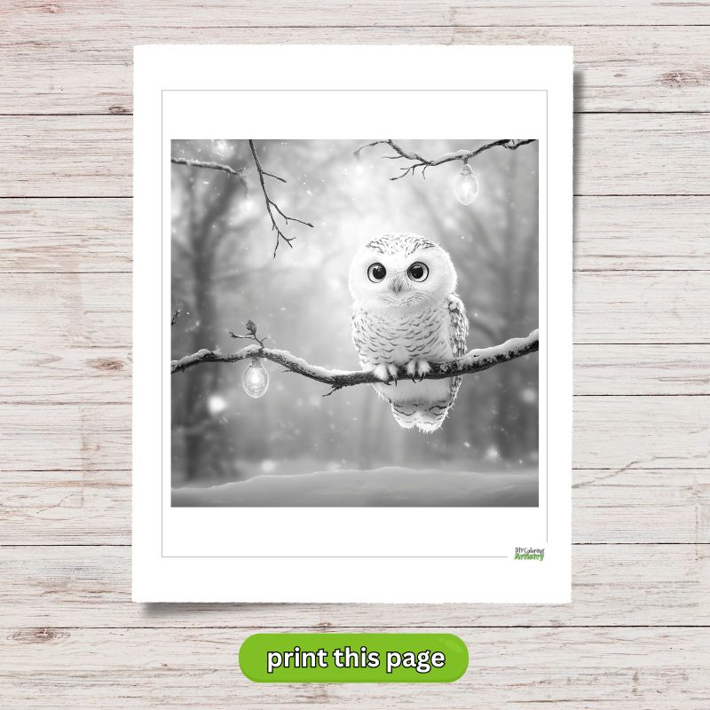 Dark Greyscale Owl