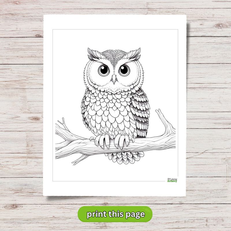 easy owl coloring page