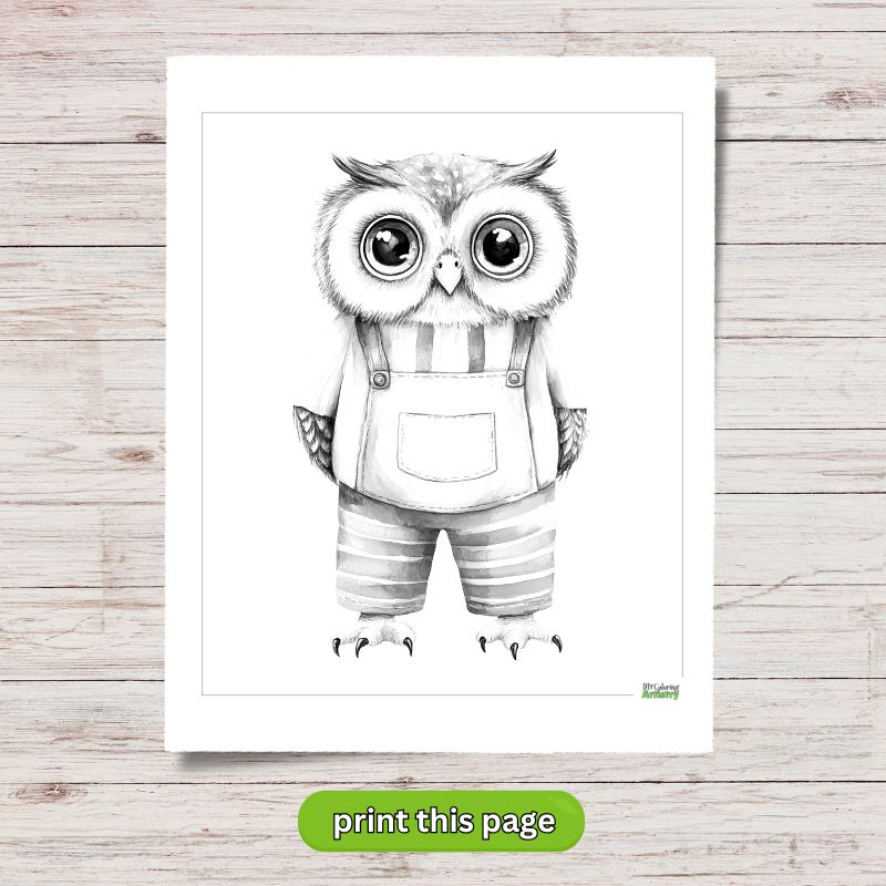owl in overalls