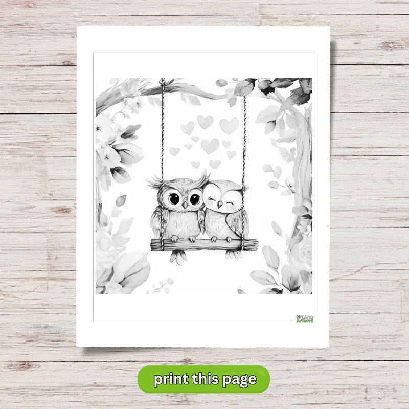 owls on swing