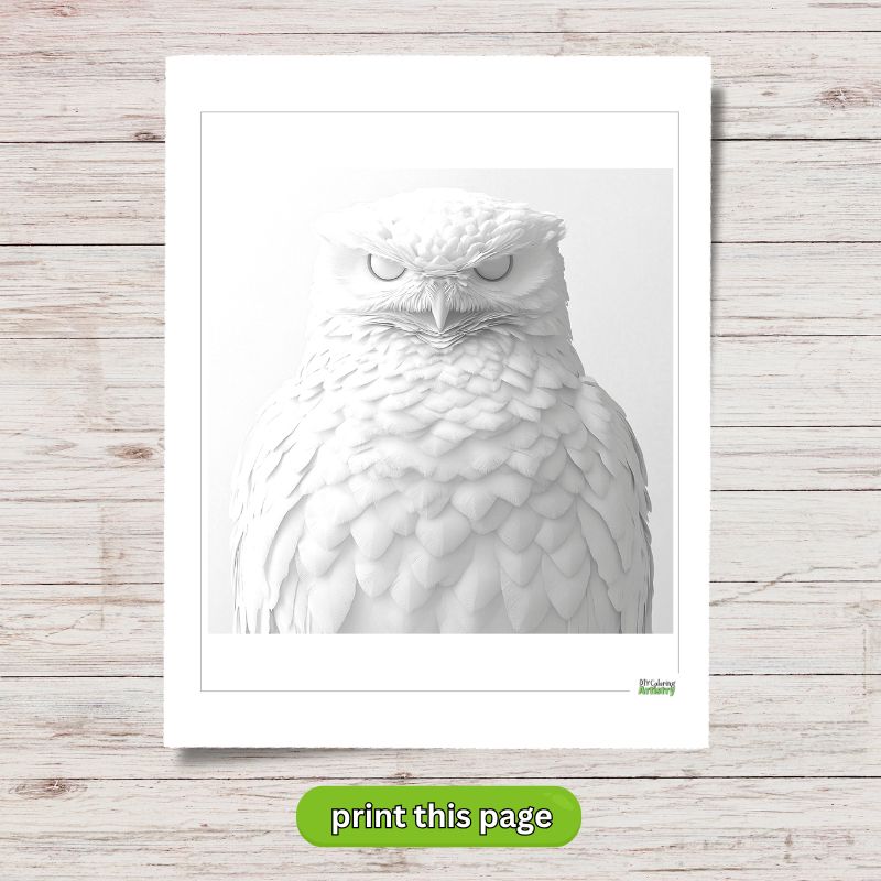 greyscale owl
