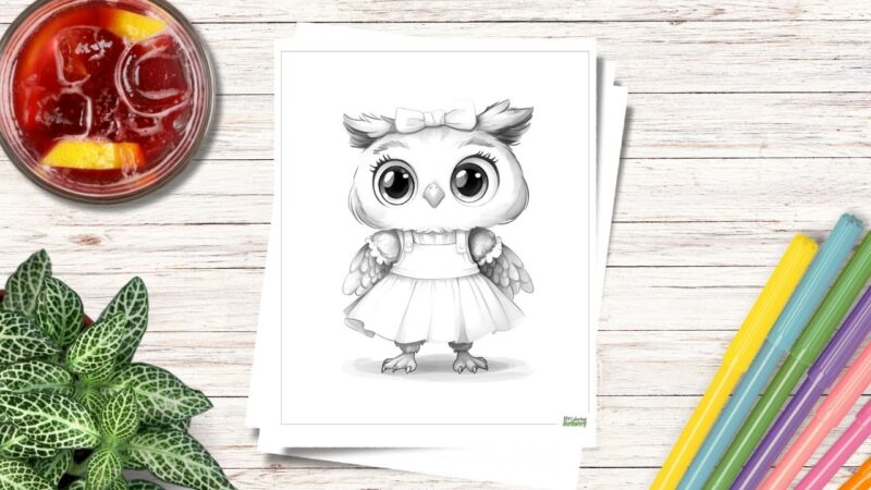 owl coloring pages