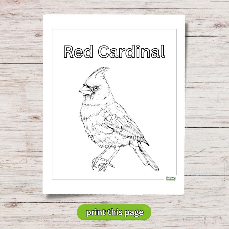 red cardinal classroom printable