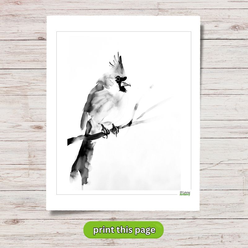 watercolor red cardinal