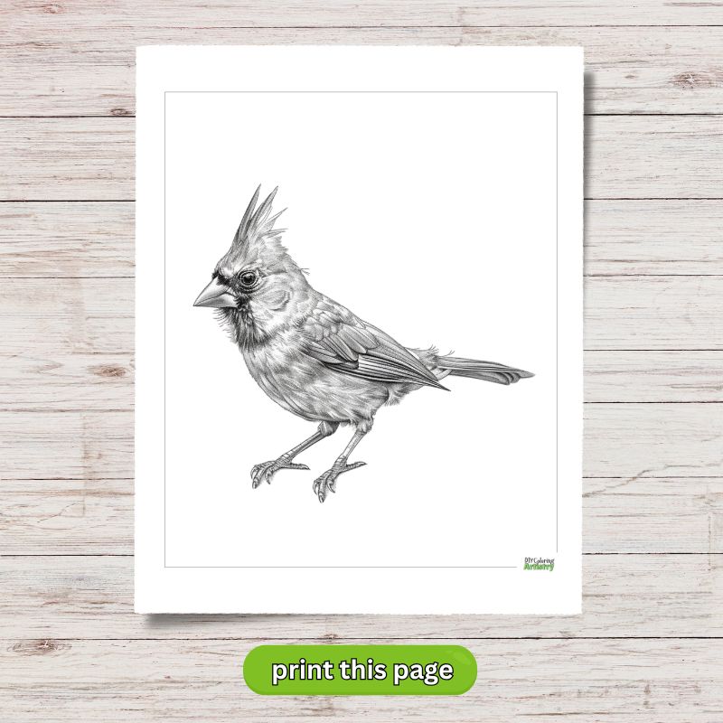 greyscale coloring page