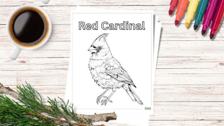 red cardinal coloring pages