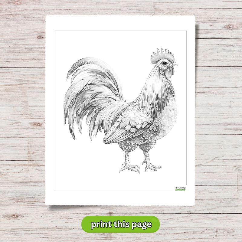 adult rooster coloring page