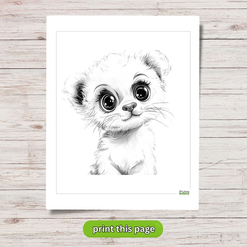 big eyed Baby Bear