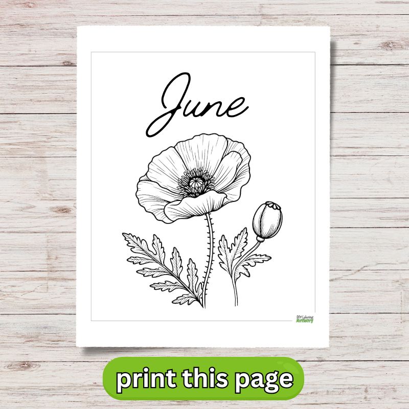 june flower coloring page