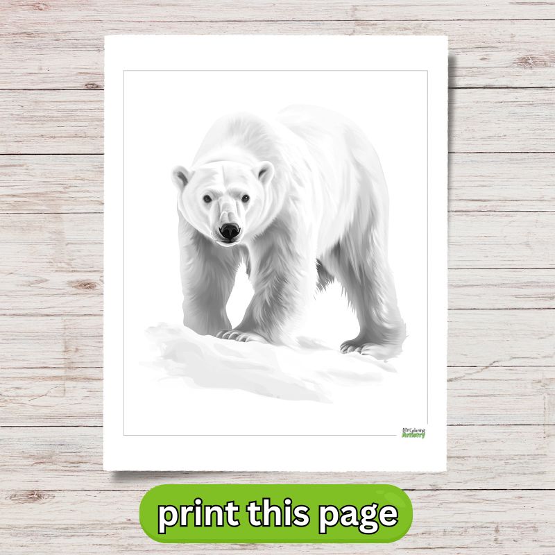winter polar bear