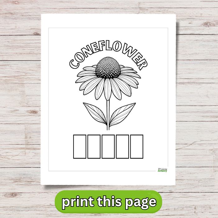 July Coneflower Printable