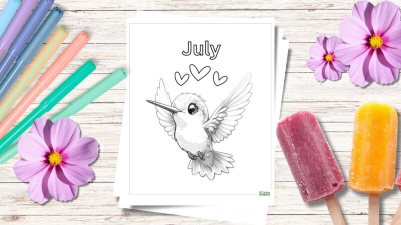 free july coloring pages cover