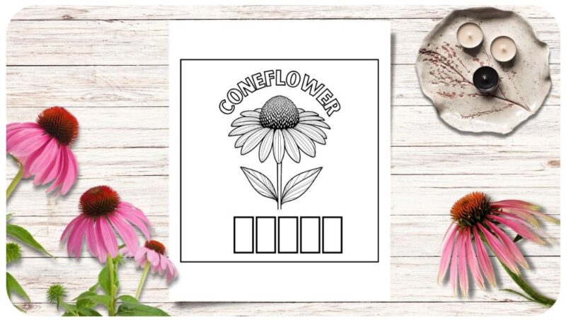 Easy Flowers Coloring Sheets