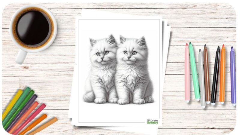 Fluffy Kittens Greyscale Coloring Pages