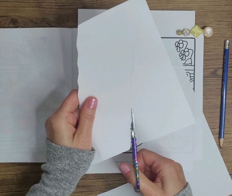 Plan The Torn Page Area