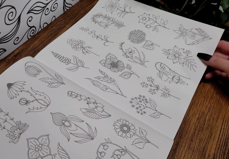 Johanna Basford Coloring Books