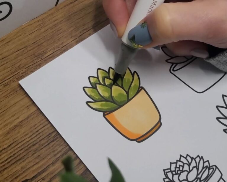 how to color succulents
