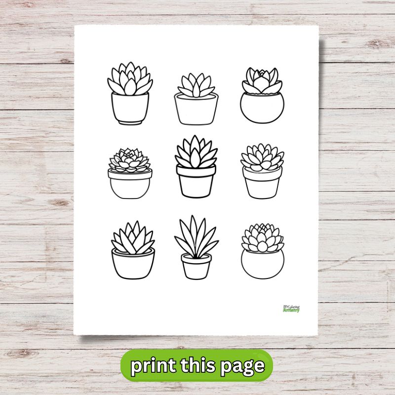 succulent coloring page 